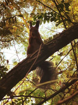 Zdjęcie użytkownika MX00