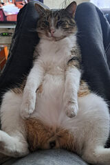 Фотография пользователя Ado86