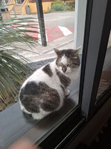 Zdjęcie użytkownika GamarA