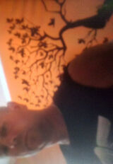 Fotka uživatele domagalamaria281