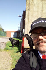 Zdjęcie użytkownika HefnerD