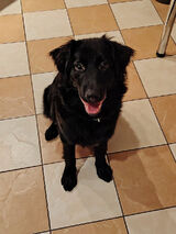 Zdjęcie użytkownika GodOfHades