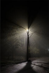 Fotka uživatele KingaBezWikinga