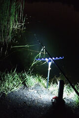 Fotka uživatele blazejprengel39