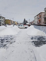 Zdjęcie użytkownika rysio497