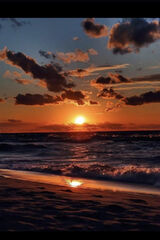 Zdjęcie użytkownika Lysy26