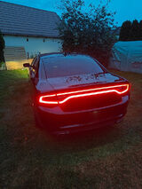 Fotka uživatele Cezary9595