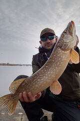 Photos moraleshosearkadio