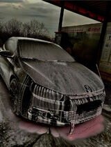 Zdjęcie użytkownika dravenwolfwppl