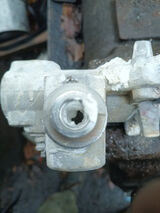 Zdjęcie użytkownika michalkarapka