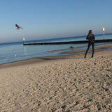 Фотография пользователя Echinacea