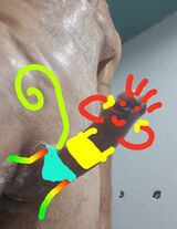 Zdjęcie użytkownika bmwe46kowal