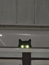 Zdjęcie użytkownika mularzdavid