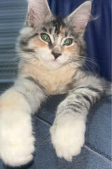 Zdjęcie użytkownika emilyalexa