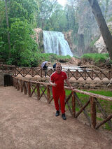 Foto utilizatorului leszczynskimariu13