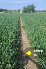 Zdjęcie użytkownika prodgrzybek