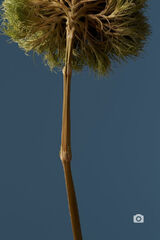 Фотография пользователя TomaszStg