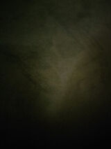 Zdjęcie użytkownika tent5331