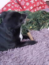 Zdjęcie użytkownika KeskaVanBizonD