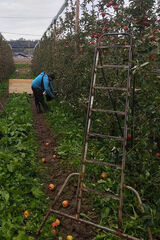 Фото користувача Mirek489