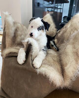 Photos marcelharry123