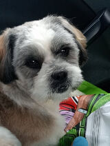 Фотография пользователя TalikRadek