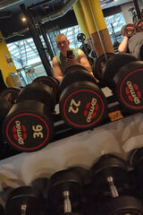 Zdjęcie użytkownika Royalboy