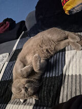 Fotka uživatele Olixx99