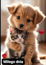 Zdjęcie użytkownika andea73