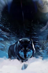 Photos KamilJawicki1984