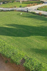 Photos juliasliwinskaju26