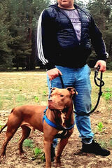 Foto pengguna papiewskirafal16