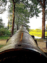 Zdjęcie użytkownika mikolajs19100