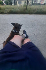 Photos BRESLAUER1989