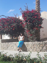 Zdjęcie użytkownika juliasliwinskaju26