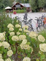 Zdjęcie użytkownika wieslawkapka260