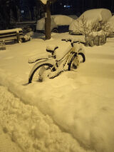 Фото користувача damianwojciechow63