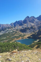 Foto utilizatorului kamill246