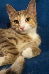 Zdjęcie użytkownika SebastianSebaao