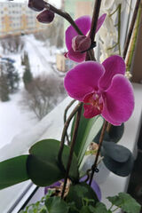 Zdjęcie użytkownika Kamila24244