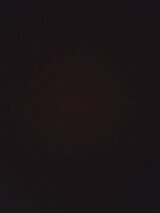 Фотография пользователя nicoleem1996