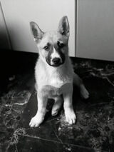 Zdjęcie użytkownika Tekien