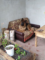 Zdjęcie użytkownika Janeczek83