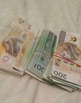 Фото користувача MaciekWojcieszek