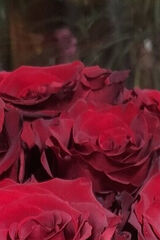 Zdjęcie użytkownika Reni14