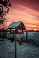 Foto utilizatorului Arek1987