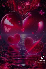 Foto utilizatorului wiesiah