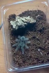 Zdjęcie użytkownika Marek2891