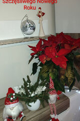 Zdjęcie użytkownika OnJelenia