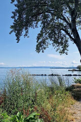 Benutzerfoto Lucmarateaux